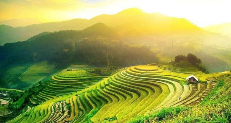 Ảnh bìa Sơn La Review