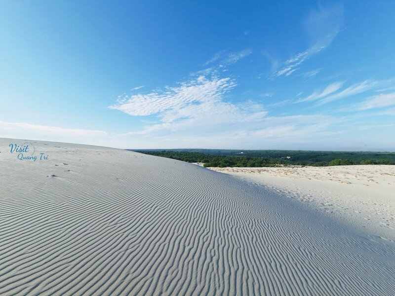 Ảnh bìa Đức Basic _ Review Quảng Trị