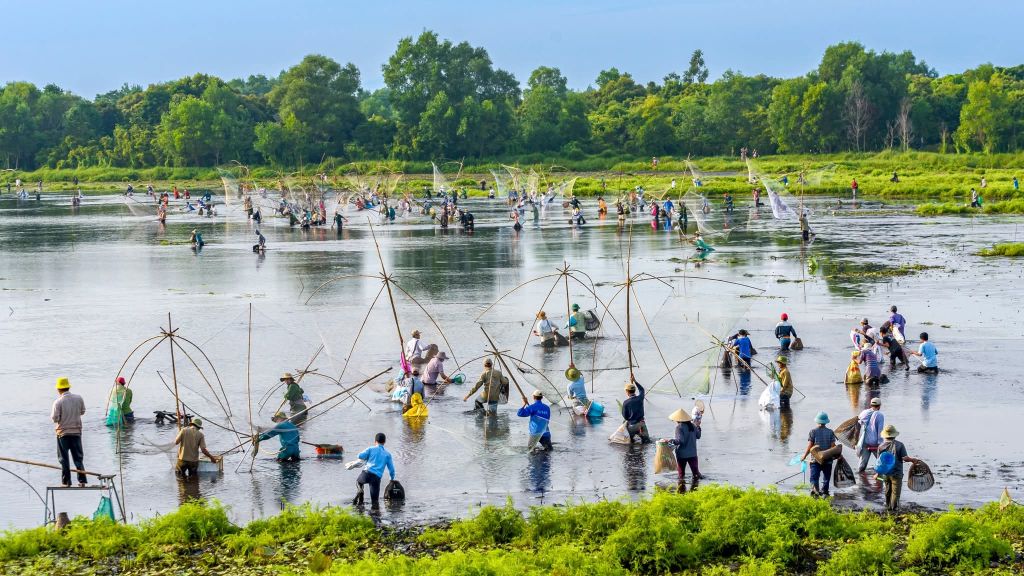 Lễ hội bắt cá tại Quảng Trị là Lễ hội Phá trằm được tổ chức