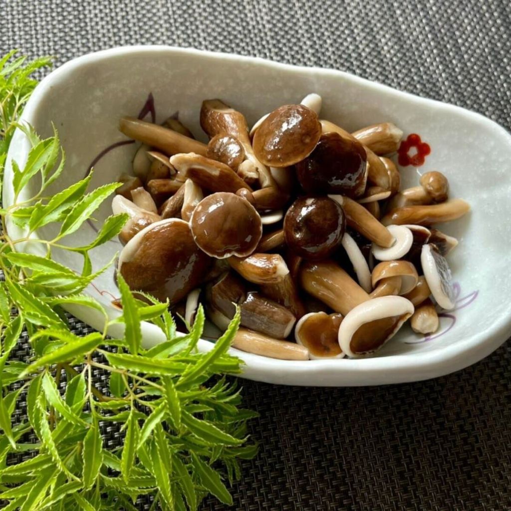 🍄 Nấm Tràm Quảng Trị – Hương vị mùa mưa thấm đẫm đất trời q