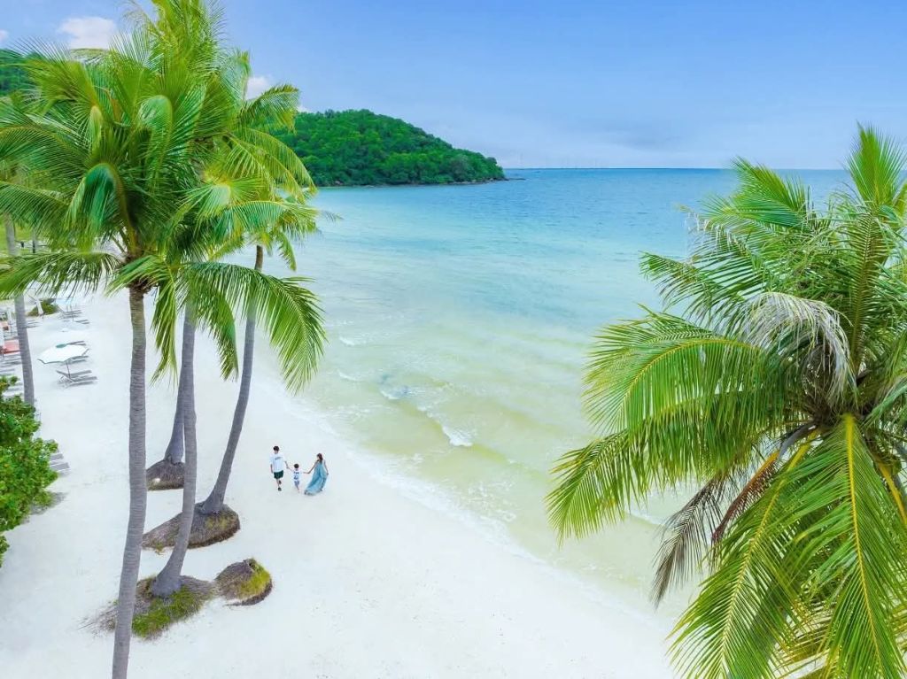Liên Hoa Việt