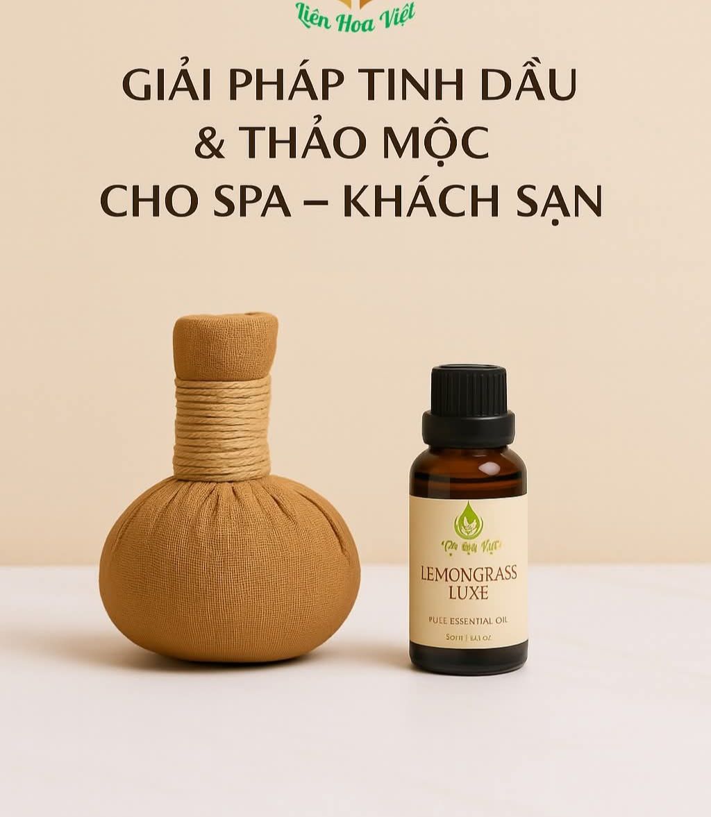 Tinh dầu và thảo mộc trị liệu cao cấp dành cho spa và khách sạn