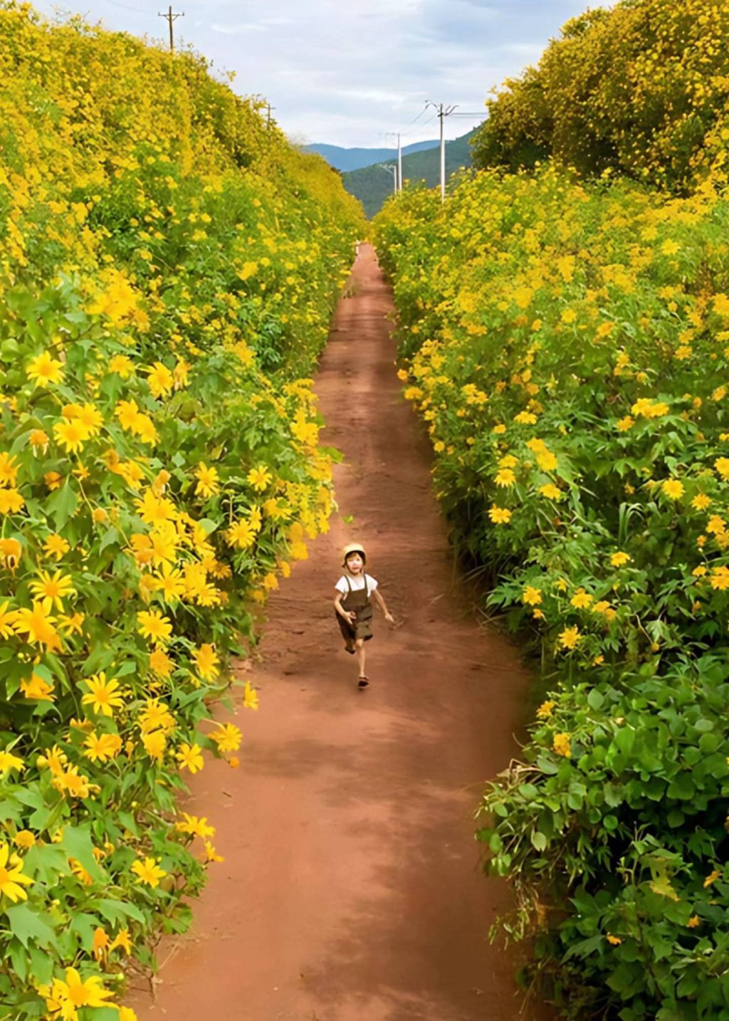 🌼Just got my salary at the beginning of the month but the company atmosphere feels suffocating - 3