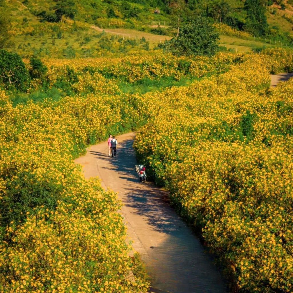 🌼Just got my salary at the beginning of the month but the company atmosphere feels suffocating - 4