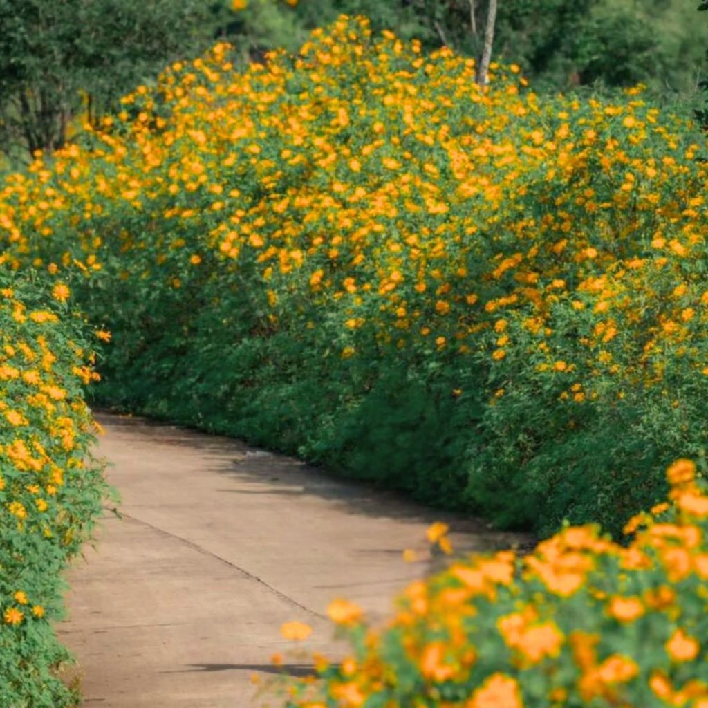 🌼अभी महीने की शुरुआत में ही तनख्वाह मिली है लेकिन कंपनी का माहौल घुटन भरा लगता है - ảnh 5