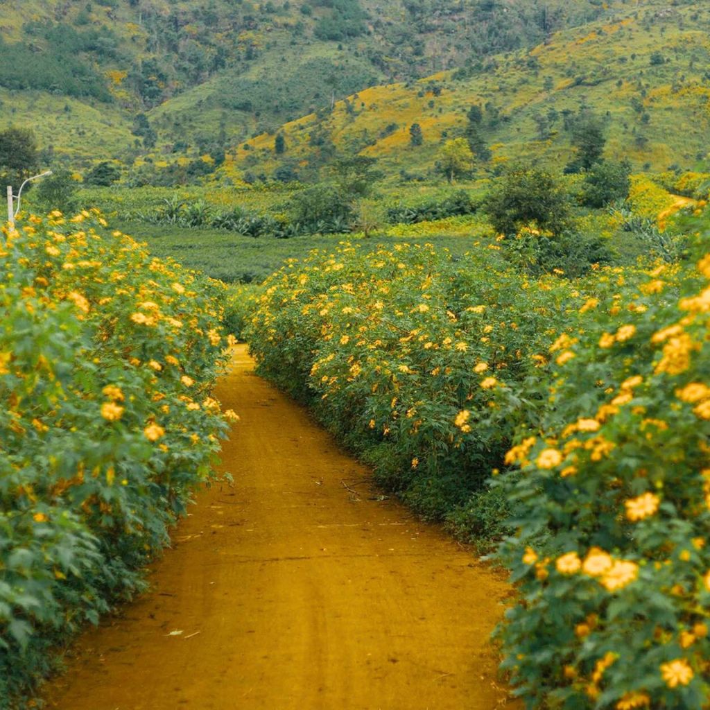 🌼अभी महीने की शुरुआत में ही तनख्वाह मिली है लेकिन कंपनी का माहौल घुटन भरा लगता है - ảnh 6
