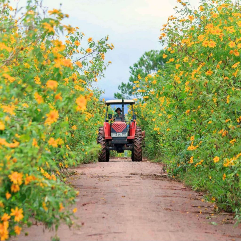 🌼अभी महीने की शुरुआत में ही तनख्वाह मिली है लेकिन कंपनी का माहौल घुटन भरा लगता है - ảnh 7