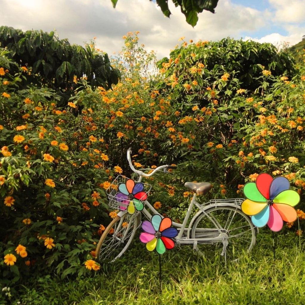 🌼अभी महीने की शुरुआत में ही तनख्वाह मिली है लेकिन कंपनी का माहौल घुटन भरा लगता है - ảnh 8