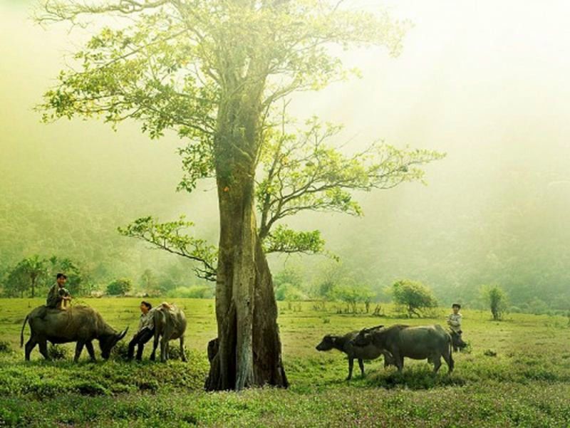 Phát triển kinh tế du lịch địa phương thông qua dự án quảng bá và khai thác du lịch.