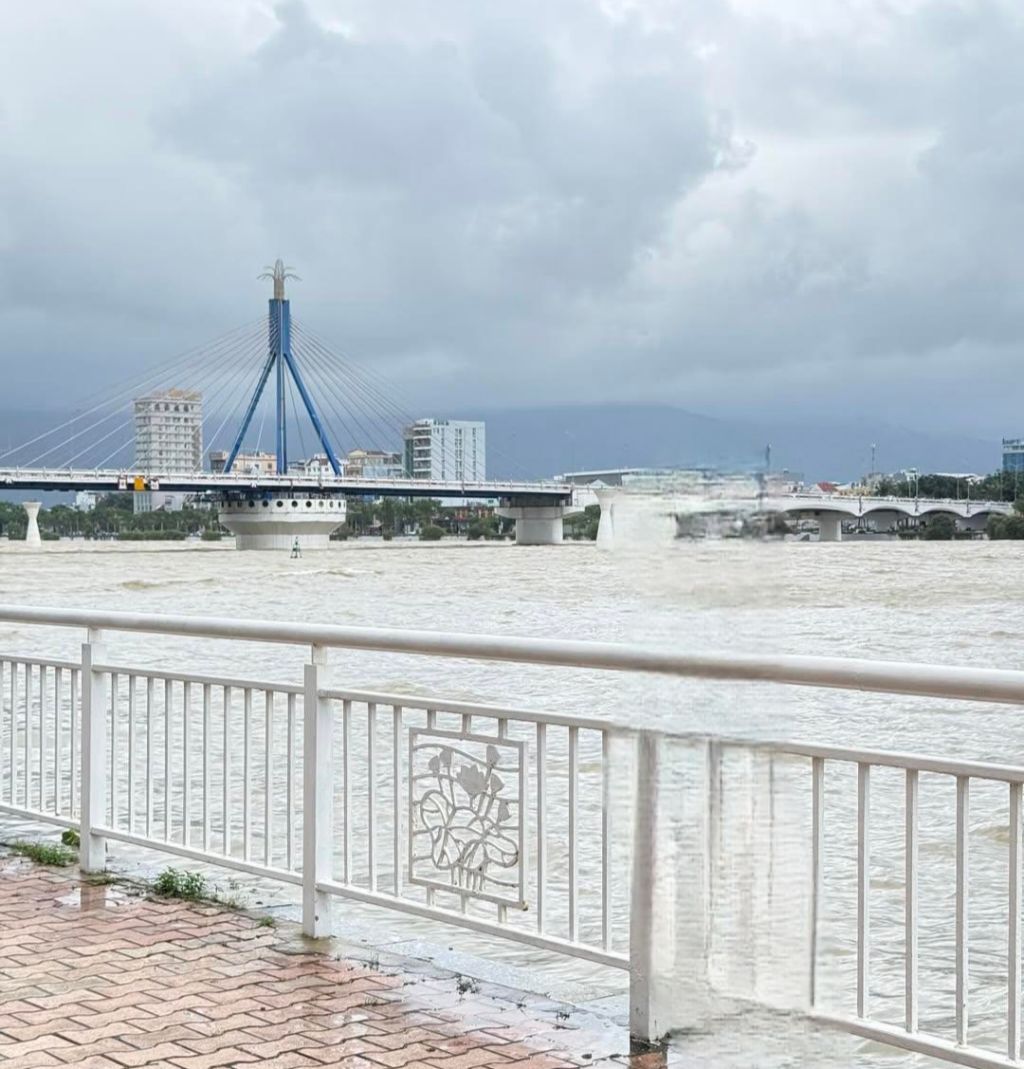 Đà Năng đón bảo trong yên bình - 1