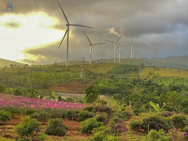 Quang Tri에서 여러분을 환영합니다! Quang Tri로 오세요. - 2