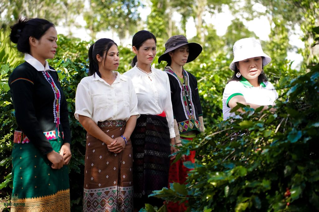 Linh hồn của cà phê Khe Sanh không chỉ đến từ đất trời, mà c - 4