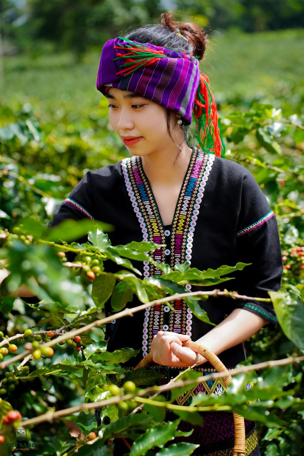 The soul of Khe Sanh coffee comes not only from heaven and earth, but also from the - 7