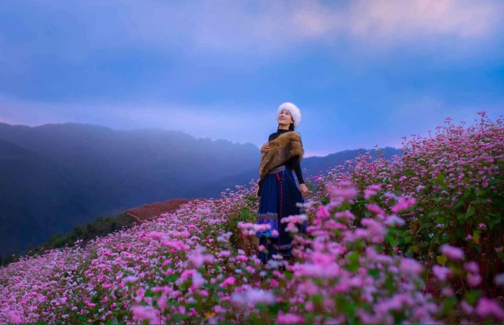 Buckwheat Flower Season in Ha Giang – A poetic picture in the middle of the great world - 6