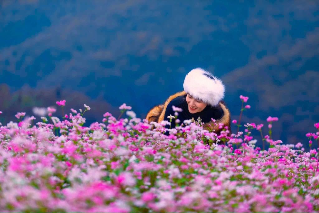 Buckwheat Flower Season in Ha Giang – A poetic picture in the middle of the great world - 7