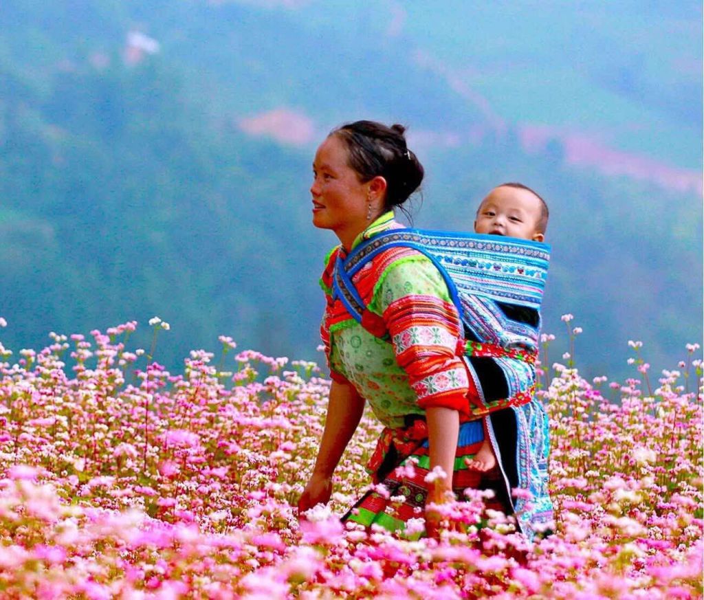 Buckwheat Flower Season in Ha Giang – A poetic picture in the middle of the great world - 9
