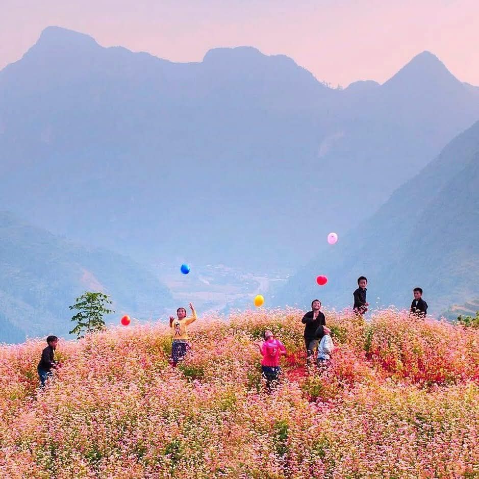Buckwheat Flower Season in Ha Giang – A poetic picture in the middle of the great world - 10