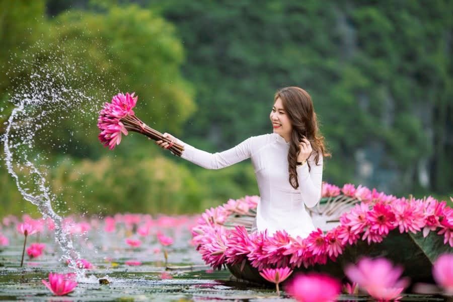 💗 Ninh Bình chính thức vào mùa hoa súng đẹp nhất năm Hoa n - 1