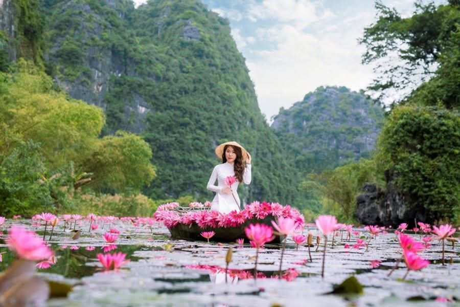 💗 Ninh Bình chính thức vào mùa hoa súng đẹp nhất năm Hoa n - 7