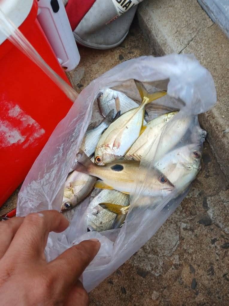 Trời se se lạnh, mưa lất phất – thời tiết lý tưởng cho các c - 7