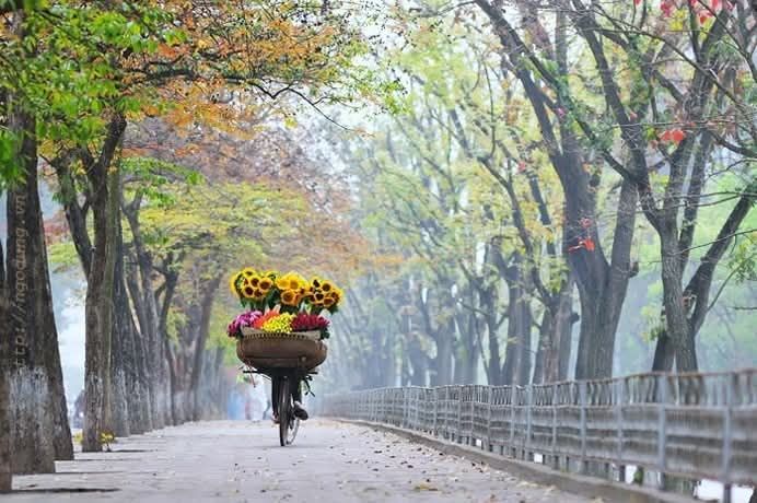 🍂 Hà Nội vào thu — khi cơn gió đầu mùa khẽ chạm, mang theo - 1
