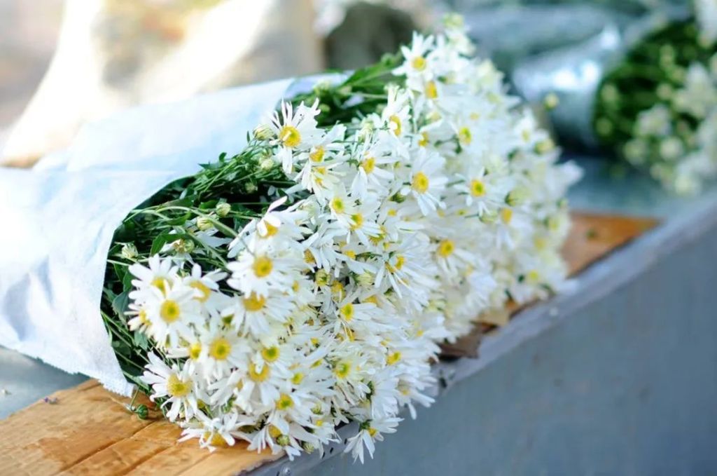 🍂 Hà Nội vào thu — khi cơn gió đầu mùa khẽ chạm, mang theo - 7