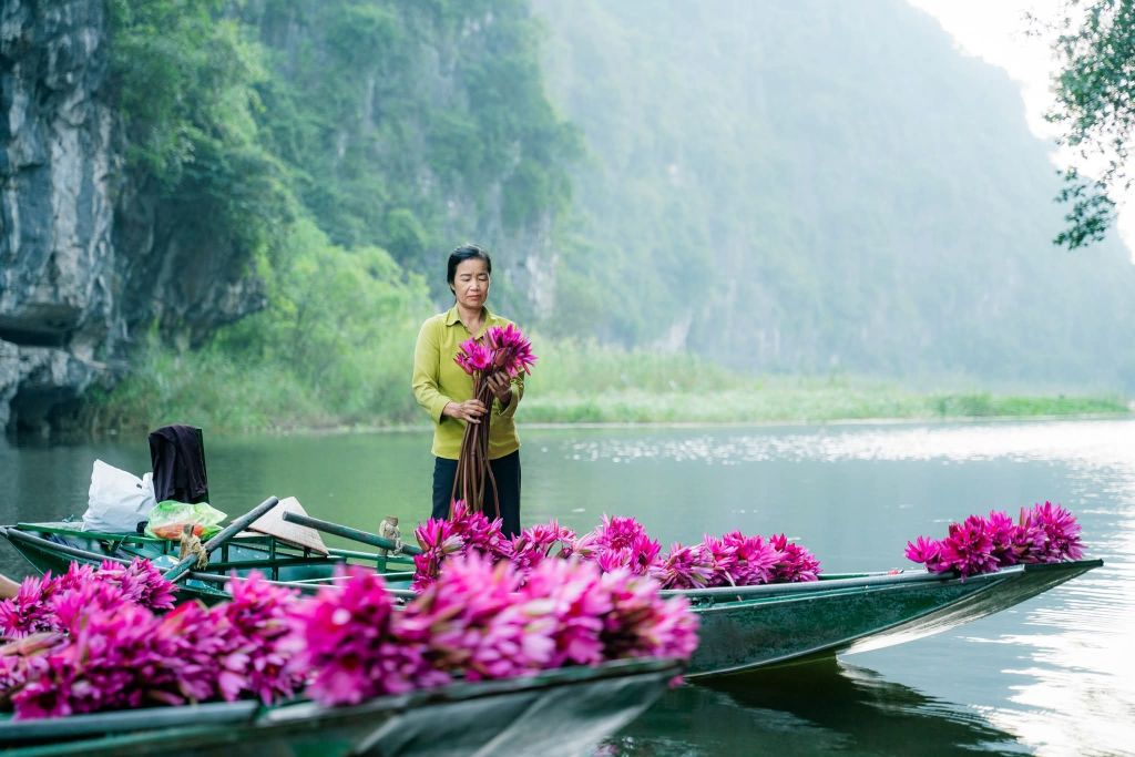 PURPLE OF TAM COC – LOTUS SEASON IN BLOOM When the weather turns to autumn - 2