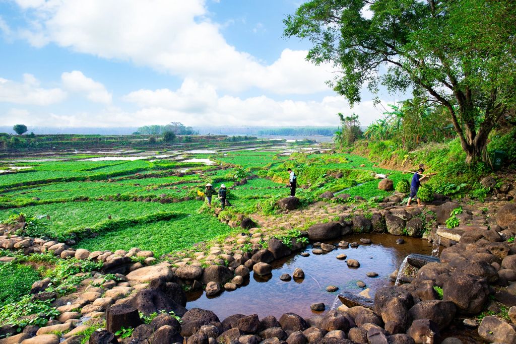 Quảng Trị – Về miền “mạch nguồn” giếng cổ Gio An