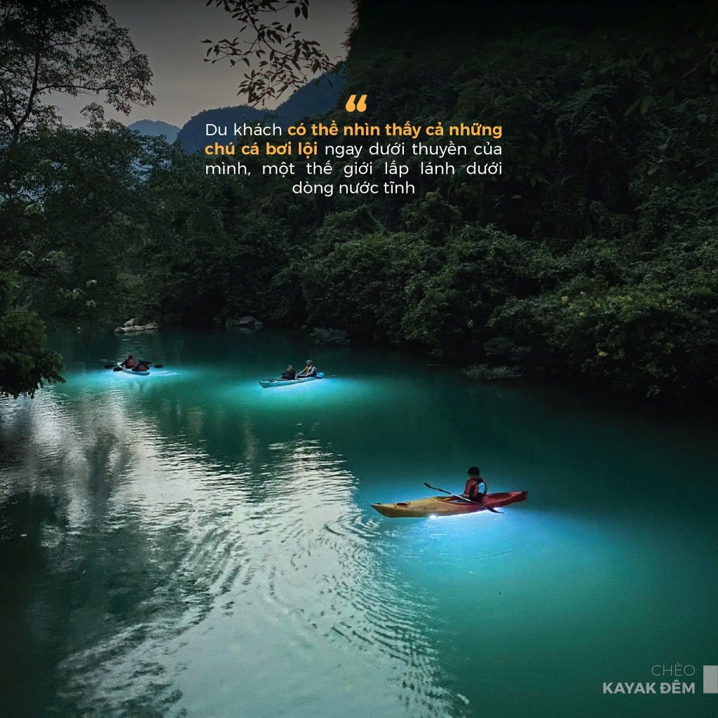 Night Kayaking – A Peaceful Experience in the Phong Nha Mountains and Forests - 4