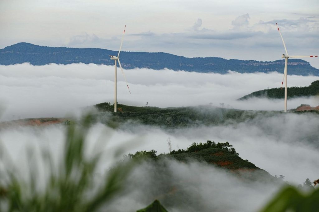 One step to touch the clouds - Cu Vo Peak, Quang Tri Early morning, the whole mountain - 3