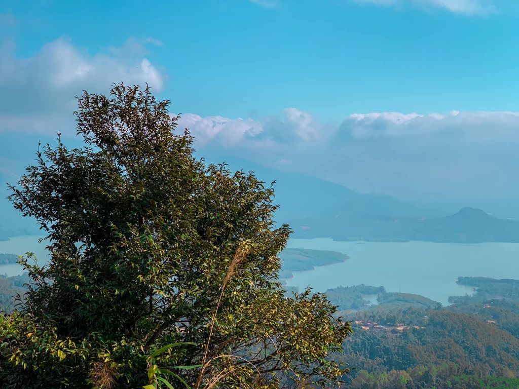 One step to touch the clouds - Cu Vo Peak, Quang Tri Early morning, the whole mountain - 8