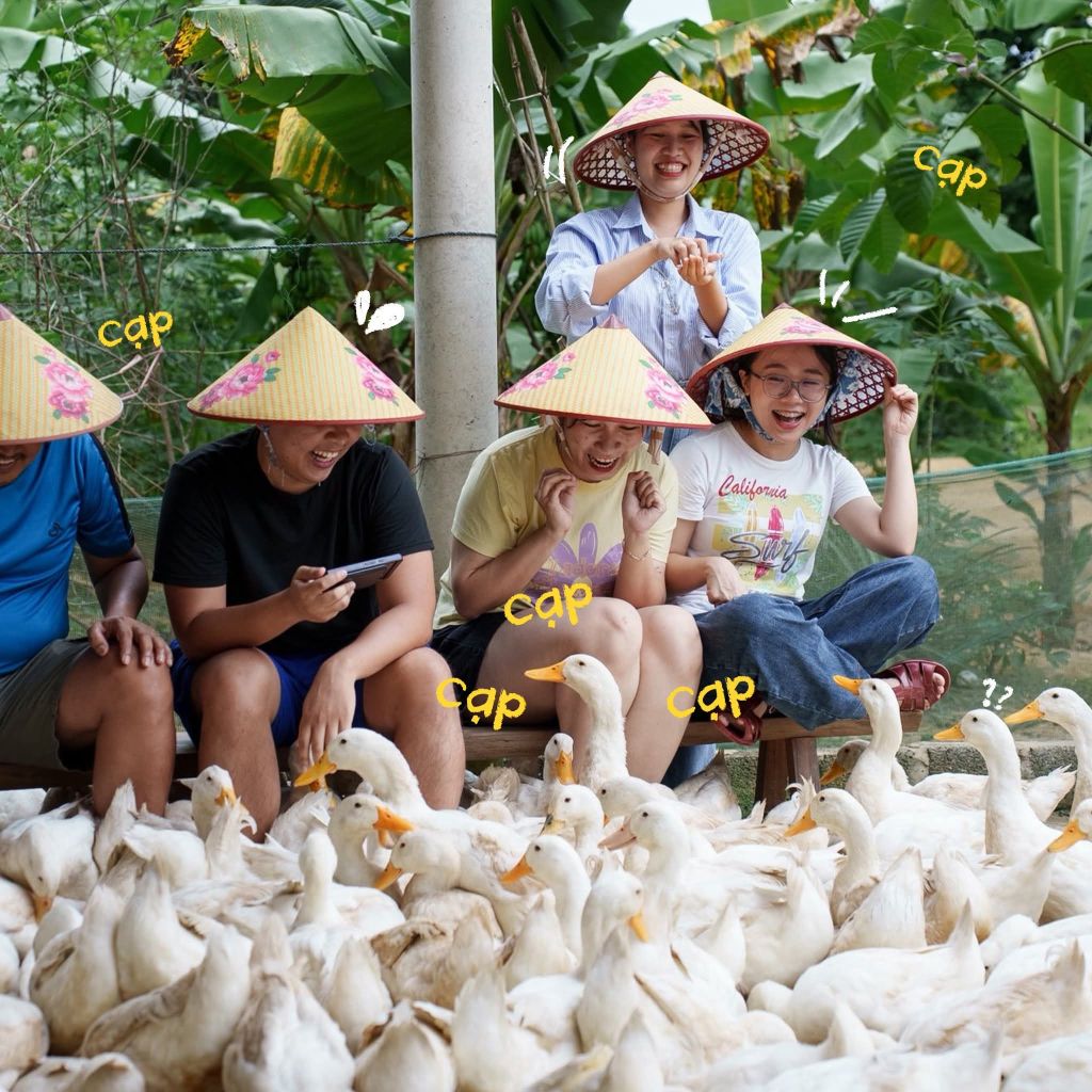 Experience duck herding in the middle of Quang Tri countryside 🦆No need to go - 5