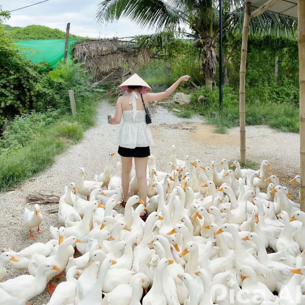 Experience duck herding in the middle of Quang Tri countryside 🦆No need to go - 6