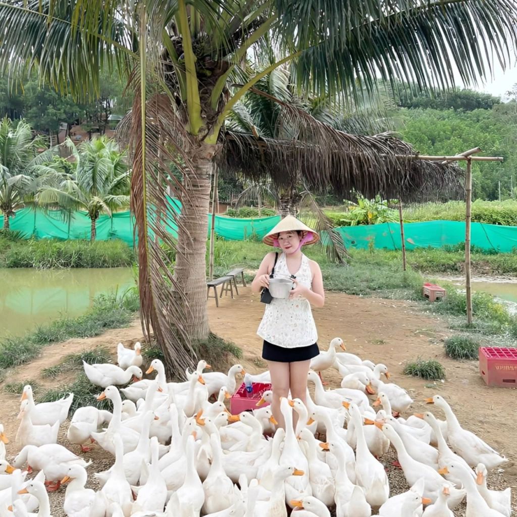 Experience duck herding in the middle of Quang Tri countryside 🦆No need to go - 7