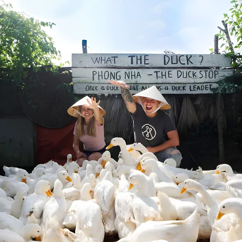 Experience duck herding in the middle of Quang Tri countryside 🦆No need to go - 9