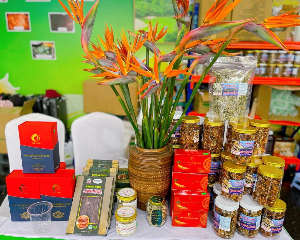 广治省在2025年河内秋季博览会上的印象 - 7