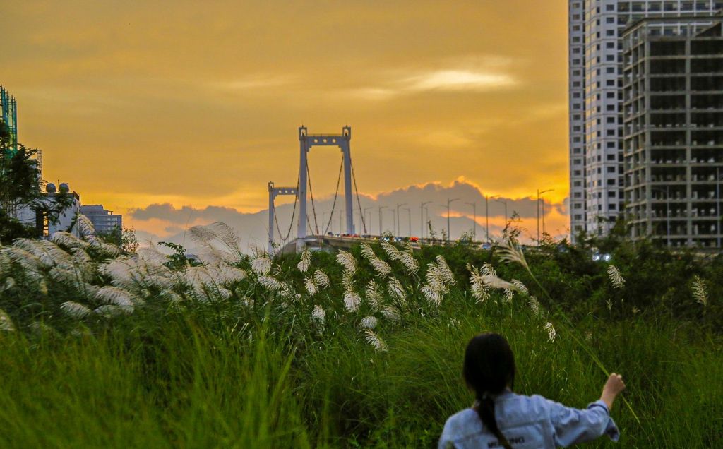 Every late autumn to early winter, Da Nang adorns itself with a vibrant atmosphere. - 4