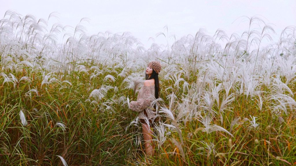 Mỗi độ cuối thu – đầu đông, Đà Nẵng lại khoác lên mình một v - 7