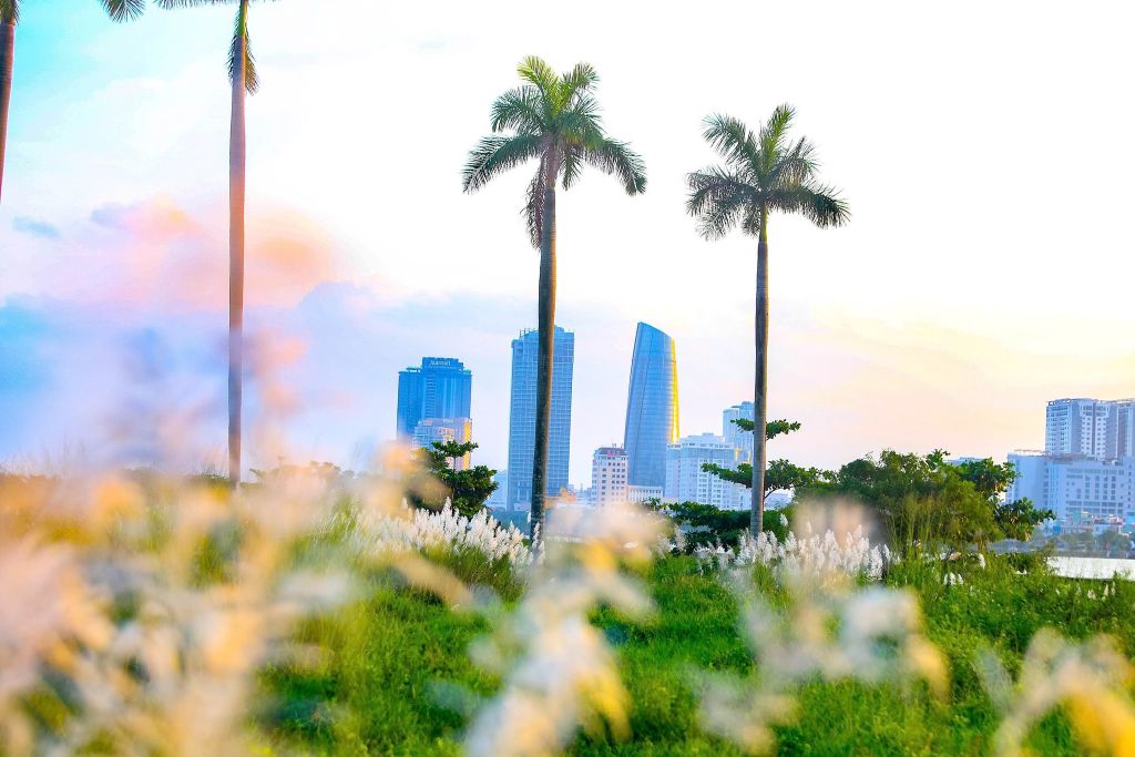 Mỗi độ cuối thu – đầu đông, Đà Nẵng lại khoác lên mình một v - 9