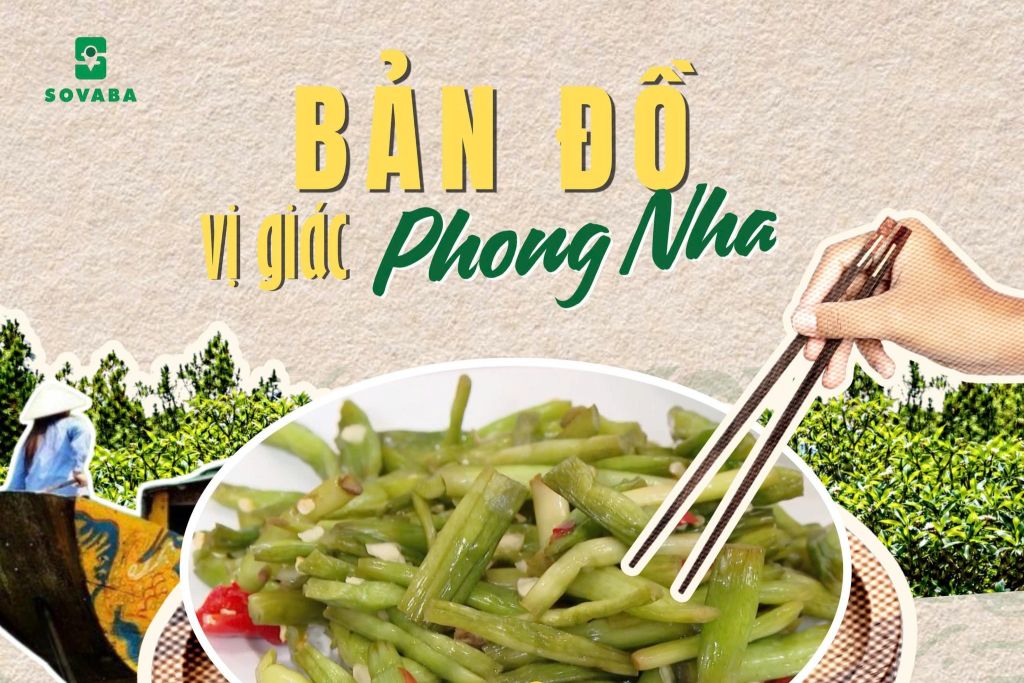 PHONG NHA MUSHROOMS – THE “UNFAMILIAR YET FAMILIAR” VEGETABLE In Phong Nha, g - 1