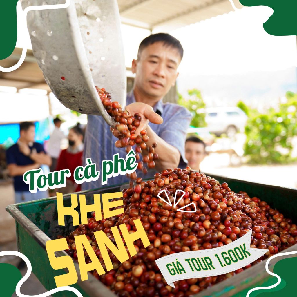 Tour Cà Phê Khe Sanh được thiết kế riêng biệt, đưa bạn thoát
