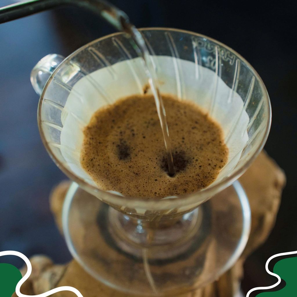 🔥 凯山咖啡之旅 – 一日游，体验“巅峰” - 4