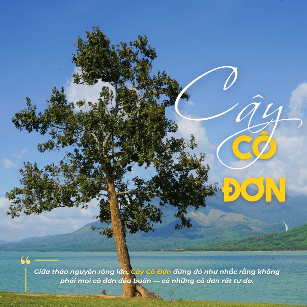 KHE SANH – THE JOURNEY LOOKS BEAUTIFUL FROM AFAR, BUT EVEN MORE CAPTIVATING UP CLOSE 🌿 - 1