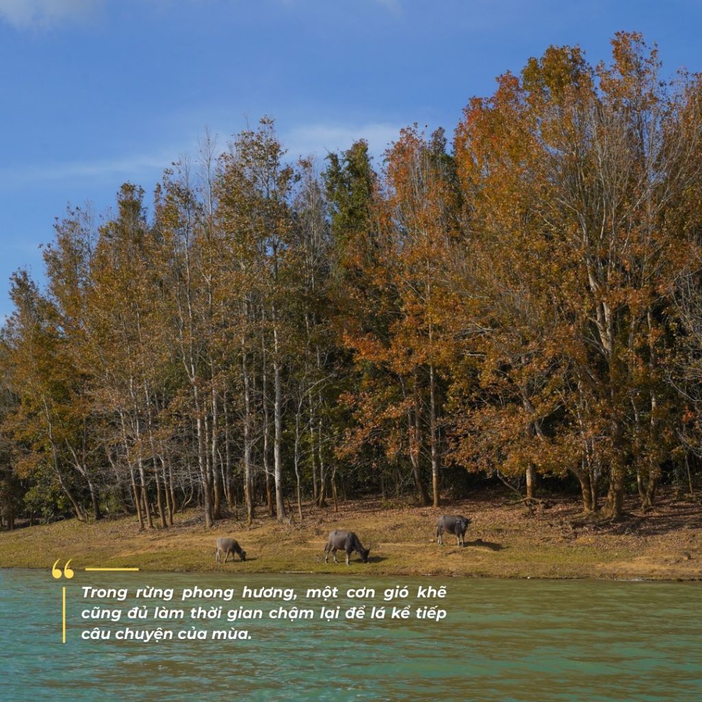 KHE SANH – THE JOURNEY LOOKS BEAUTIFUL FROM AFAR, BUT EVEN MORE CAPTIVATING UP CLOSE 🌿 - 3