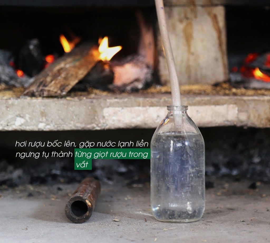 KIM LONG VILLAGE WINE – A TOUCH OF "THUYS THUONG" THAT PRESERVES THE ESSENCE - 4