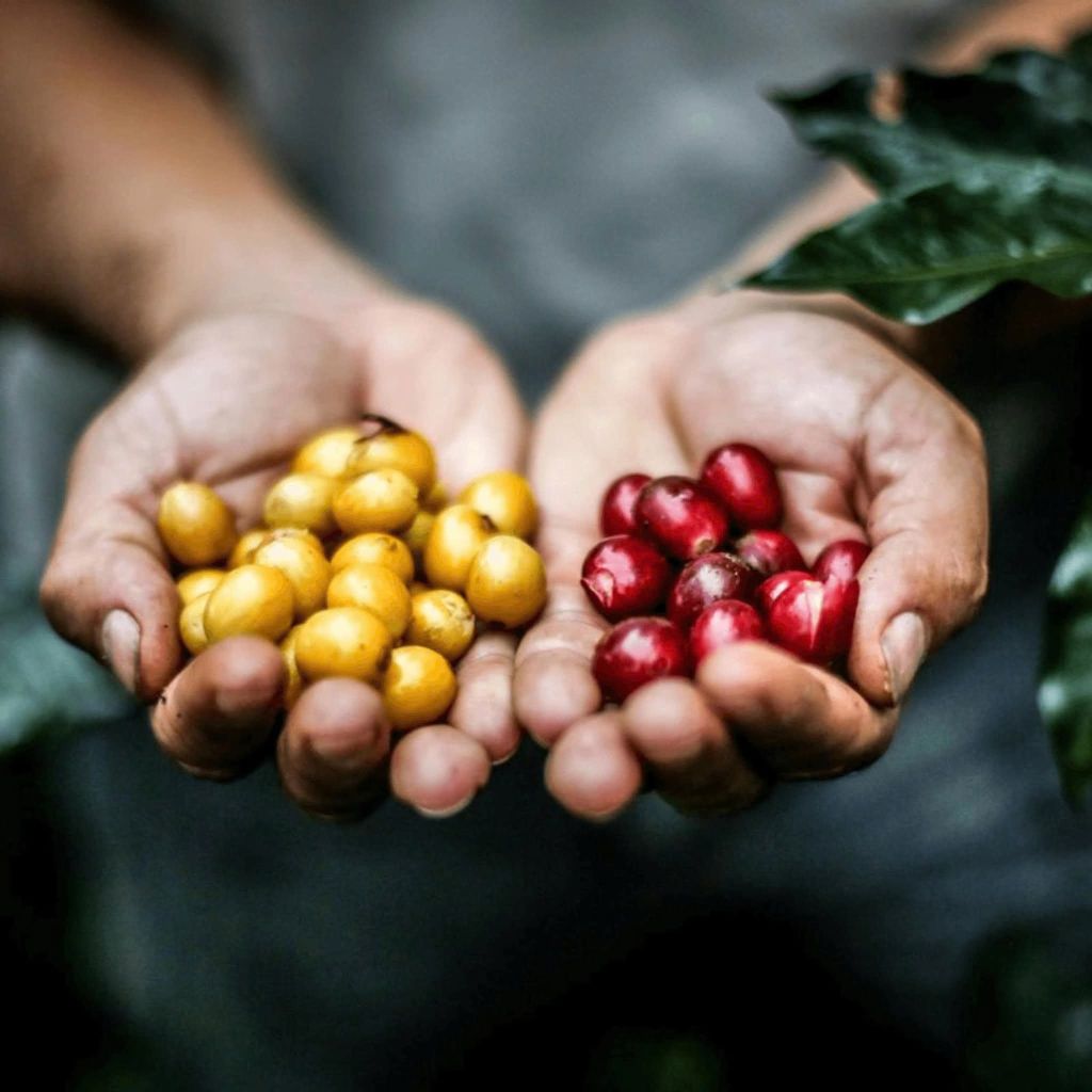 ESCAPING THE CITY TO KHE SANH – A DAY IS ENOUGH "The journey of escaping the city to..." - 3