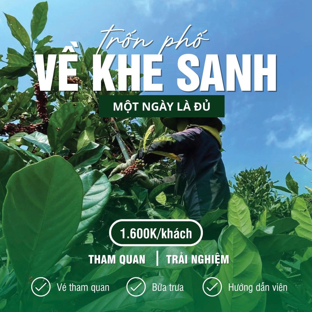 ESCAPING THE CITY TO KHE SANH – A DAY IS ENOUGH "The journey of escaping the city to..." - 5