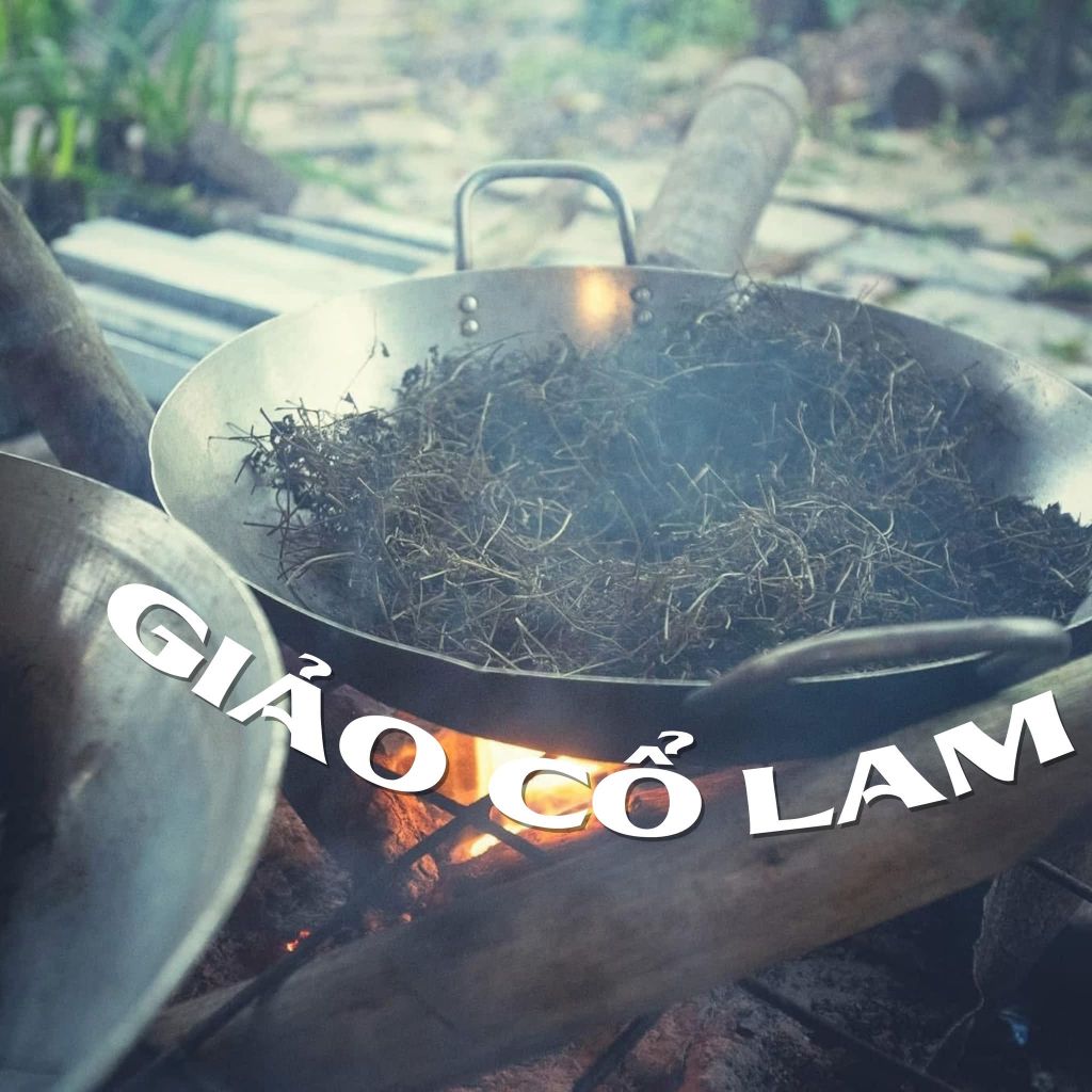 🌿SCENT OF THE OZOG FOREST Amidst the pristine wilderness of Ozo, - 2