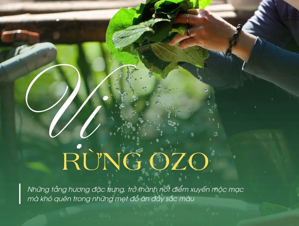 🌿SCENT OF THE OZOG FOREST Amidst the pristine wilderness of Ozo, - 1