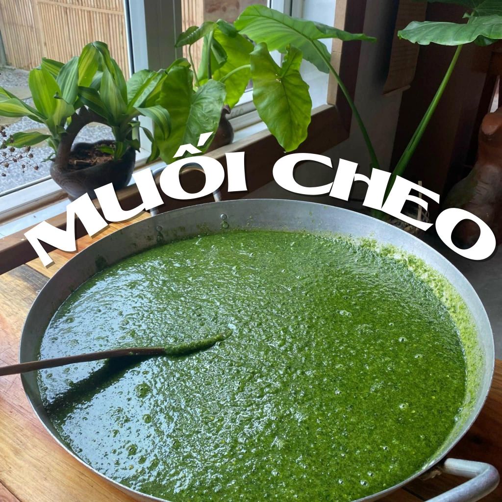 🌿SẮC HƯƠNG TỪ RỪNG OZOGiữa đại ngàn nguyên sinh của Ozo, nh - 5